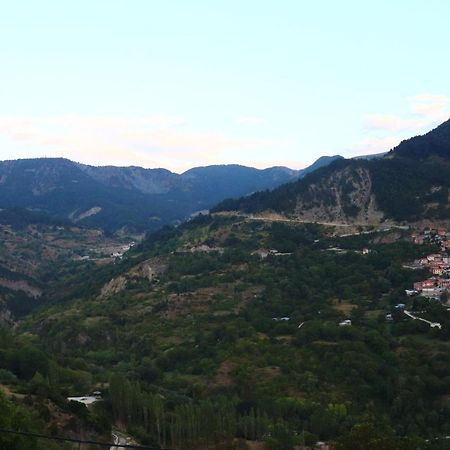 Baou House Apartment Metsovo Bagian luar foto