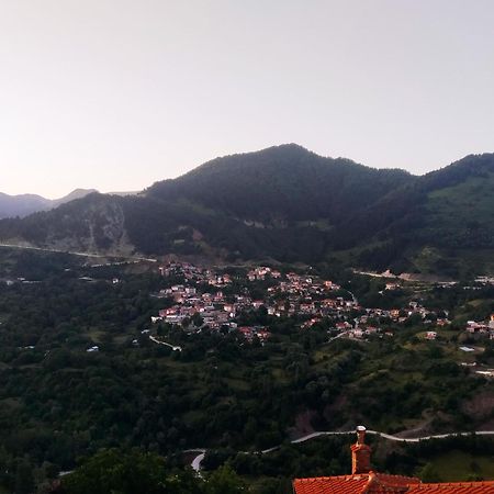 Baou House Apartment Metsovo Bagian luar foto