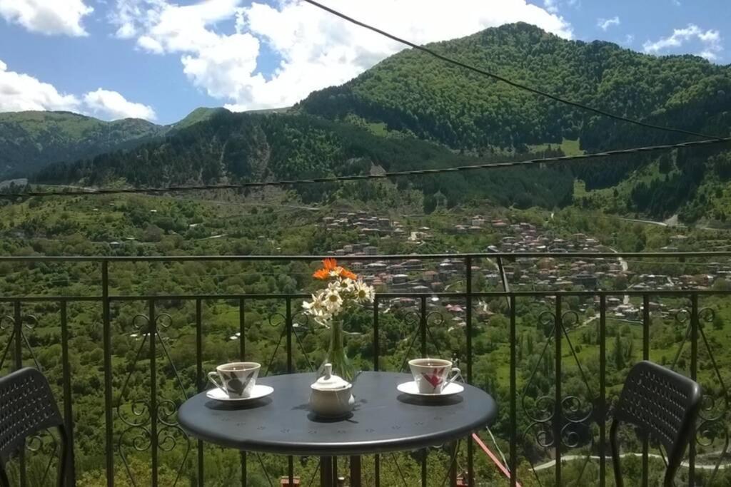 Baou House Apartment Metsovo Bagian luar foto