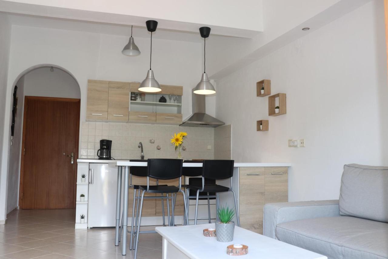 Baou House Apartment Metsovo Bagian luar foto