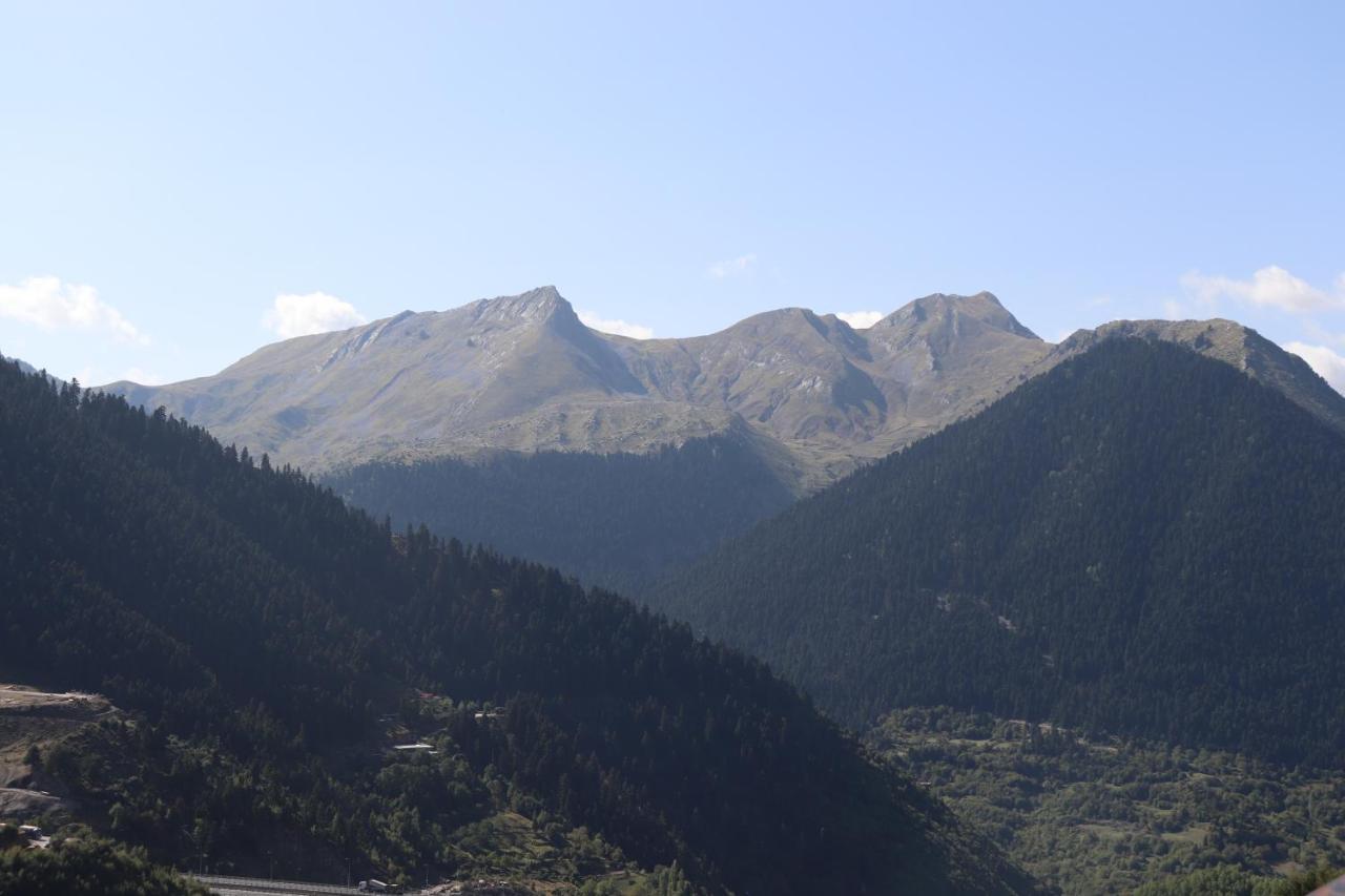 Baou House Apartment Metsovo Bagian luar foto