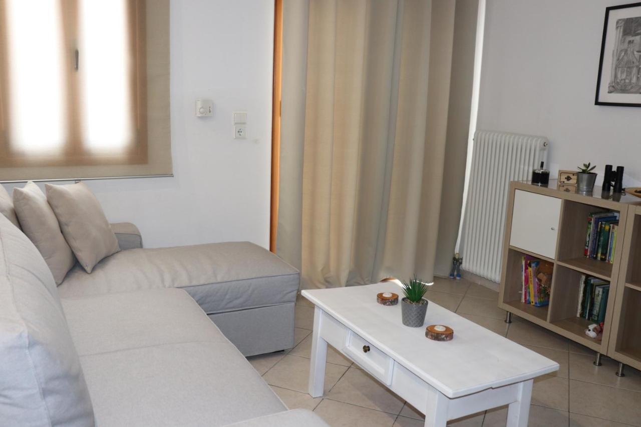 Baou House Apartment Metsovo Bagian luar foto