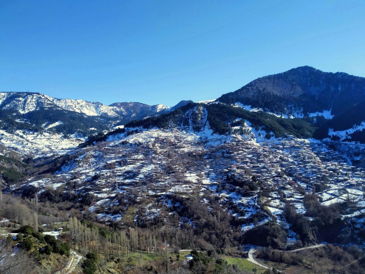 Baou House Apartment Metsovo Bagian luar foto